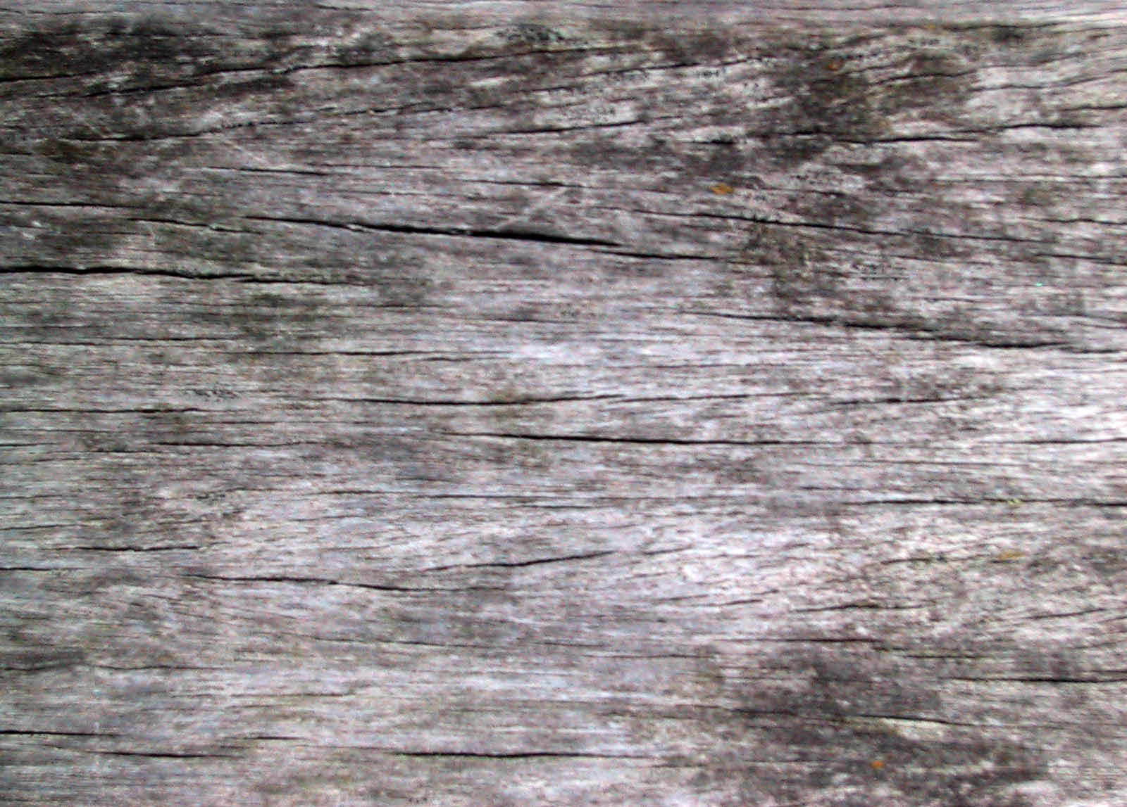 wood texture blender free